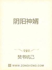 阴阳神婿