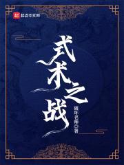 式术之战