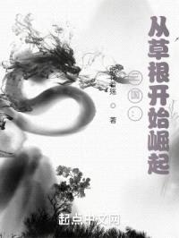 三国:从草根开始崛起