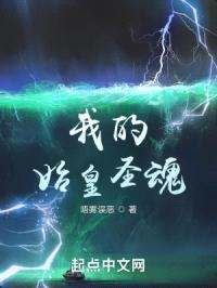 我的始皇圣魂