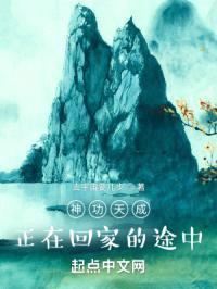 神功天成，正在回家的途中