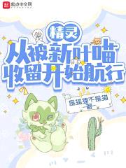 精灵：从被新叶喵收留开始航行