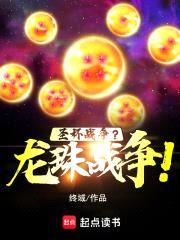 圣杯战争？龙珠战争！